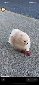 個人的癒し写真・画像 de SPOTSCAMEL  3 Imagens