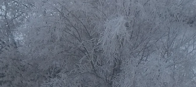 Zdjęcia Audrey_Aura iced shackles: 