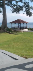 King_Blacks: Public ( 4 фото)