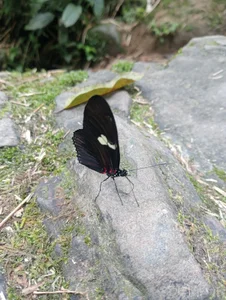 tinaclark_ my beautiful feet connecting with the purity of the water Pic 2