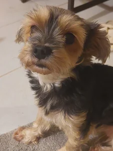 Divinna ❤️ MY BEST FRIENDS ❤️AKIK MINDÍG BELEUGATNAK AZ ÉLŐBE ❤️ Bilde 5