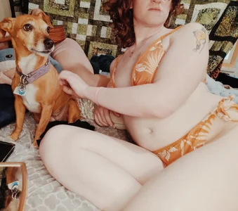 Rewpert Public Pic 2