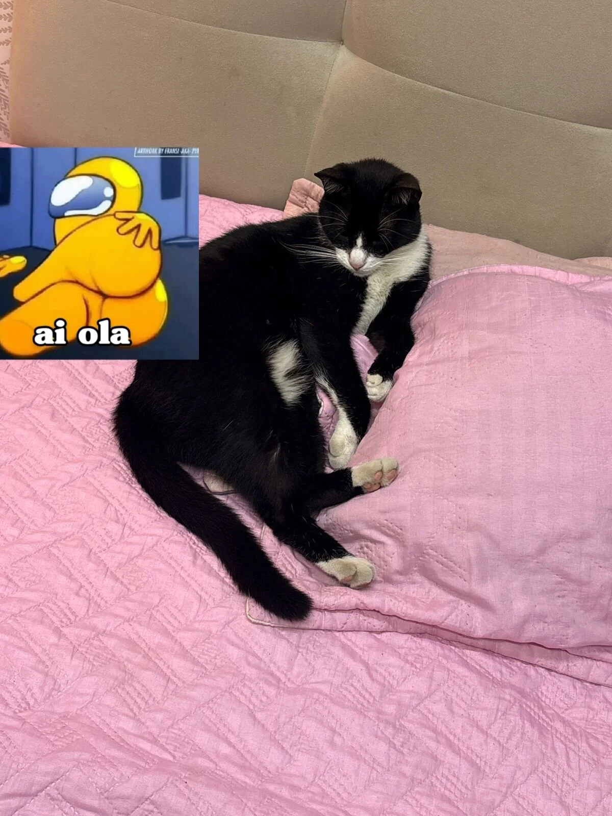 Creamy_Angelo Populära bilder 2688