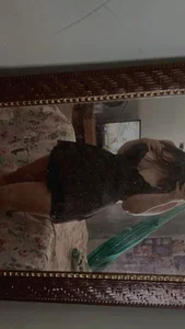 milissa0 اح Pic 4