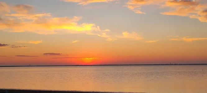 Scorpion_xx Public зображення 7