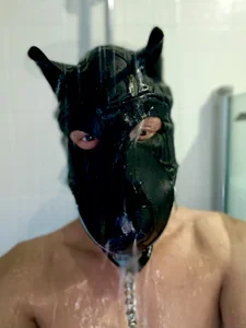 PlayDog123 Public صورة واحدة|PlayDog123 Public صورتان|PlayDog123 Public  4 صور|PlayDog123 Public  4 صورة