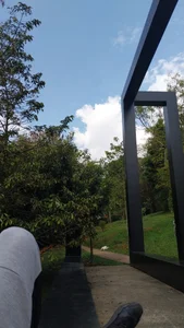 Zdjęcia Camilo696903 Public:  5