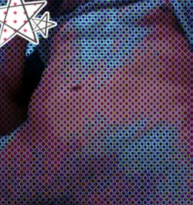 CsrskinnyPublic Bild 2