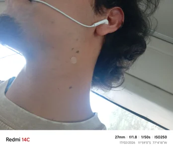 David_1600のPublicの枚の写真