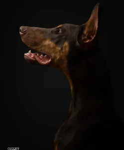 mailin_777 Me and my boy🐶 Immagine 