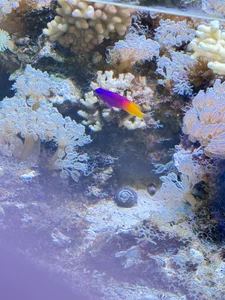 水族館 de souitirou20  2 Imagens