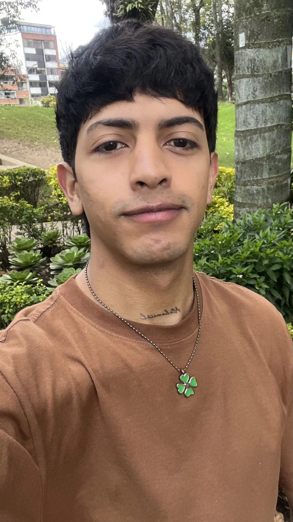 teobrownyさんのトレンドな 610枚の写真