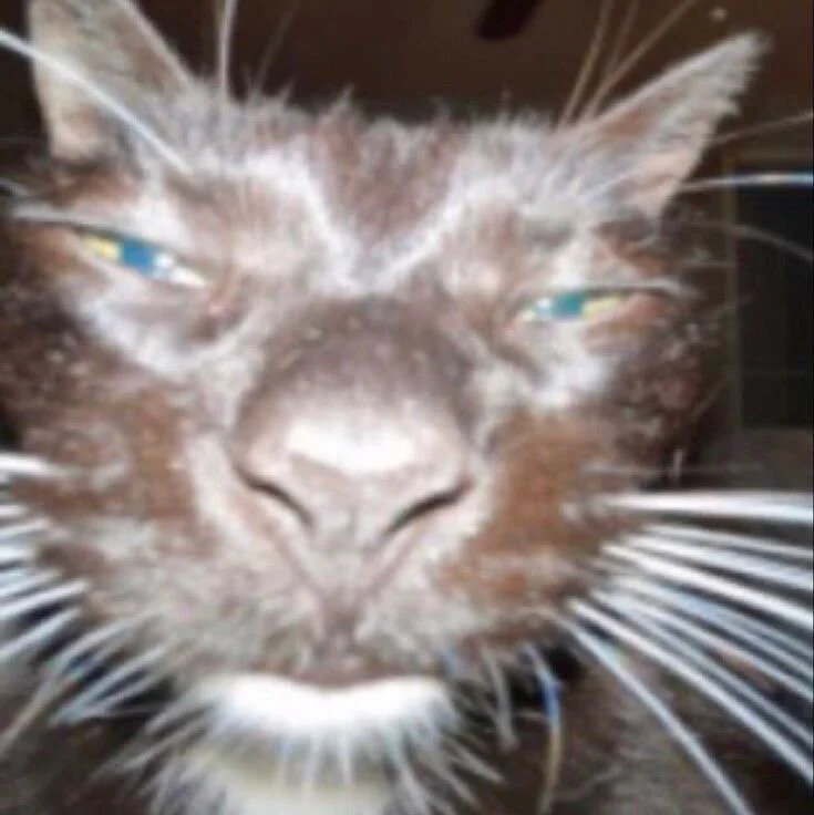 Tyler_durtenPublic图片 2