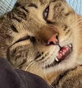 Gxhmelx-xiaoxiao 调皮捣蛋❤️ 圖片 2