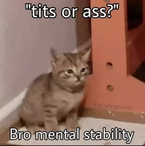 📚 Meme-ifesto: The Ultimate LOL Collection 😜 de RubyValen Foto