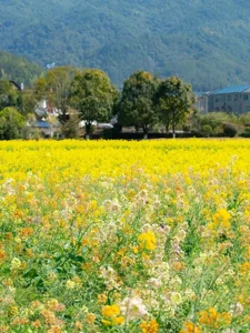 damogu16668 come on baby Foto