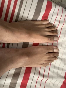 Free de RenewedSauce  Imagens