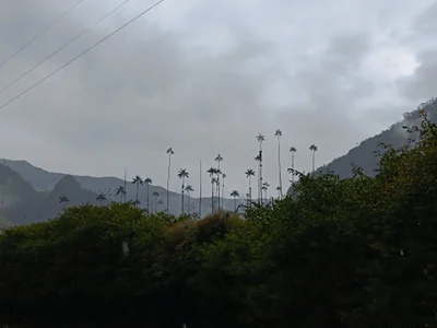 CrystalRambeau TRAVEL 🤩 Pic