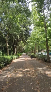 ladyesmee99 My City 🌆 Pic 4