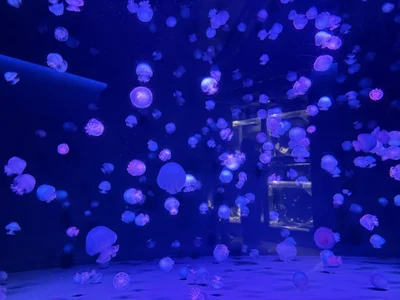 mini_tetu 出張のとき📷 صورة واحدة|mini_tetu 出張のとき📷 صورتان|mini_tetu 出張のとき📷  4 صور|mini_tetu 出張のとき📷  4 صورة