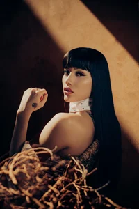 evamoretti Elegant Desert Bilde