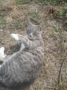 mona_cloud Public  4. fénykép