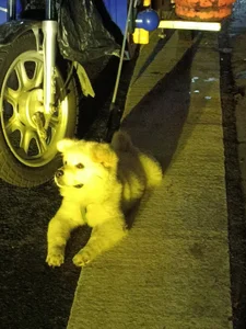 Noelle-2007 Public Pic 4