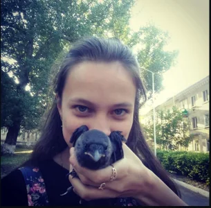 MiniLysii Birds Pic 3