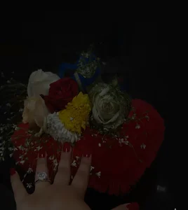 Adiba_2 Adiba's tour slika