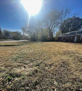 TinyBlazian901 My Project Pic