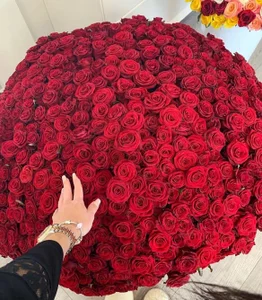 velvetveyraX dream of getting 1001 roses 🌹 صورة واحدة|velvetveyraX dream of getting 1001 roses 🌹 صورتان|velvetveyraX dream of getting 1001 roses 🌹  صور|velvetveyraX dream of getting 1001 roses 🌹  صورة
