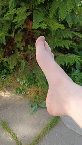 shiemiro2's photo