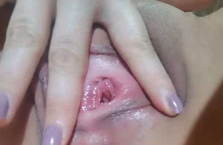 Public de Felinacalhot2025  5 Imagens