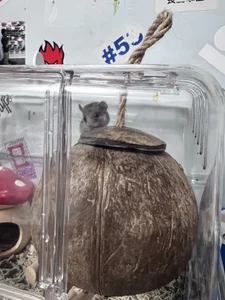 Fine-sand: 米果專屬 ( 2 фото)