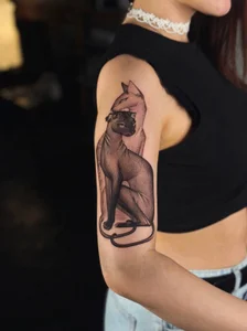 selina_coy my cats🐾😇💗 Foto 8