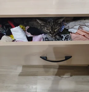 LanaRadiance My favorite Splyushka😸(My pussy) Pic 6