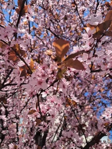 Elayne__Sweet Aesthetics 🥰 Εικόνα 6