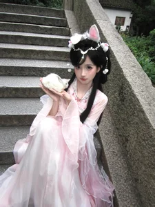 菜菜