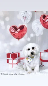 Scarlett-Dream My Best Friend Pic