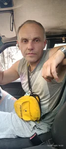 In the car de Pineapple04  4 Imagens