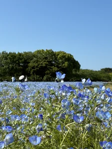 Public de Riria_xx  2 Imagens