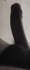 Logotmo Public Immagine 