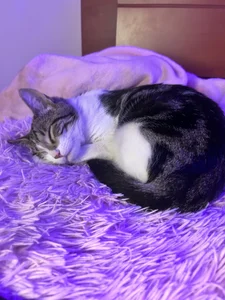 My love Rini 💘 de ailen_wood  9 Imagens