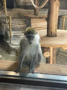 beril_kiss- Zoo Pic 8