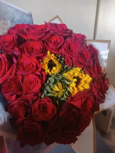 Andrius2026 Public Bilde 3