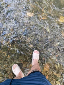 Dalton_s Free Poză 5