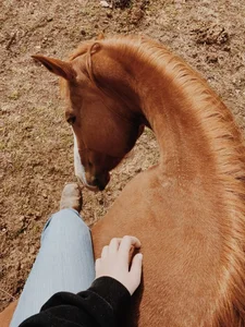 NickyAdamidi Foot fetishes Foto 3