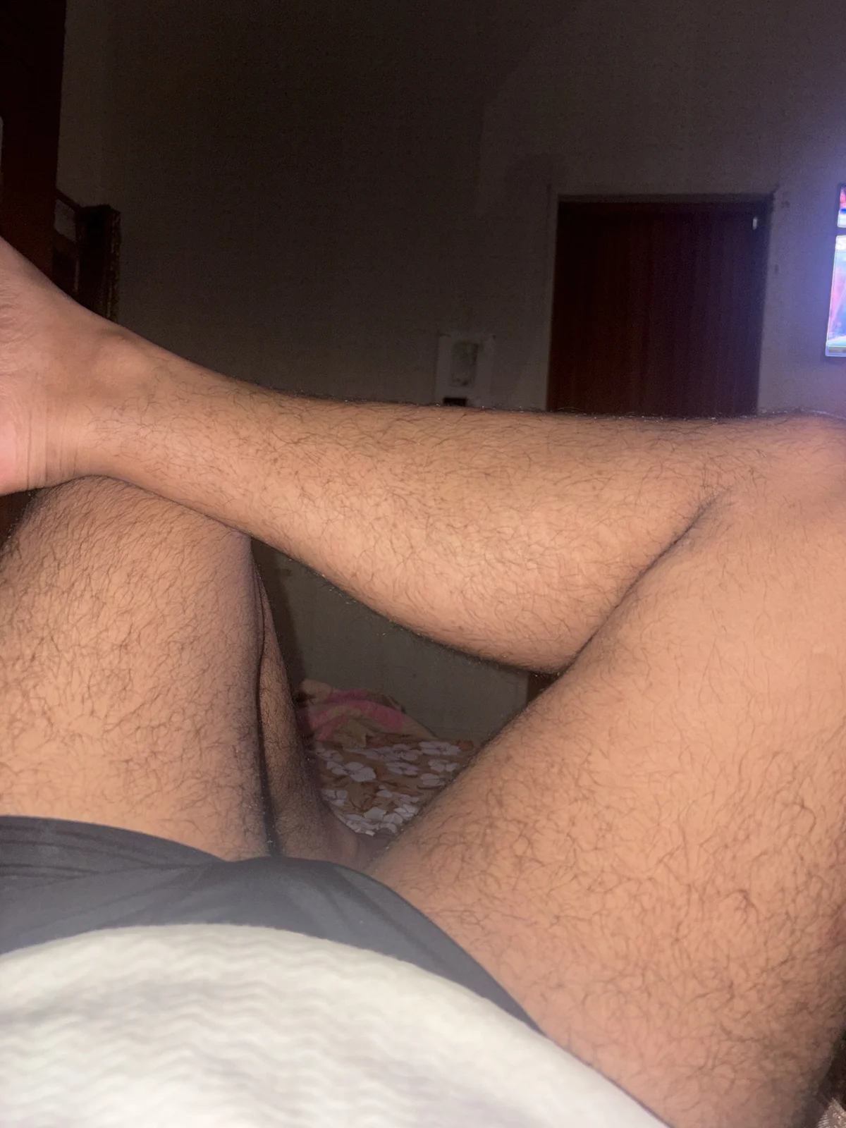 Foto  4027 de Mohailbull – em alta