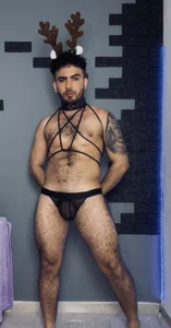 adamhairyのaDAM CHRISTMAS REINDEERの 9枚の写真