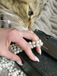 jose_fairy Business vibe 😋 Foto 4